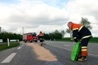 Granulat, Ölbinder Absodan Universal, Typ III/R,...